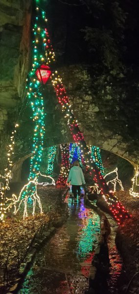 20241227_205546.jpg