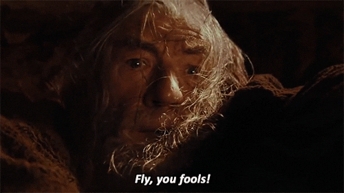 1735530040520.gif