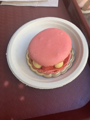 IMG_6594.JPEG