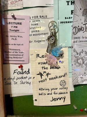 IMG_4433.jpeg