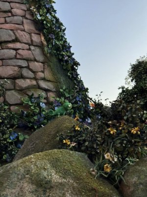 IMG_7607.jpeg