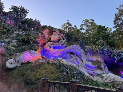 IMG_7648.jpeg