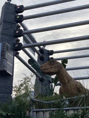 IMG_3627.jpeg