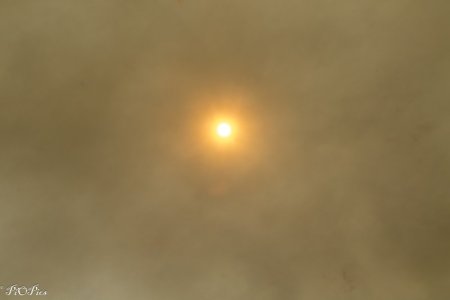 241220 Sun Haze-2921.jpg