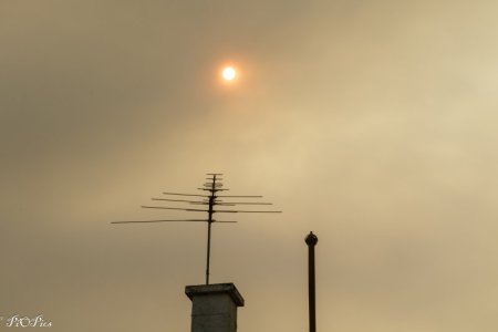 241220 Sun Haze-2939.jpg