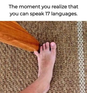 IMG_0773.jpeg