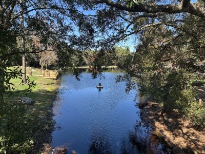 IMG_2589.jpeg