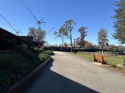 IMG_2591.jpeg