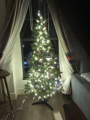 IMG_2628.jpeg