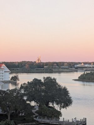 IMG_20250104_180213.jpg