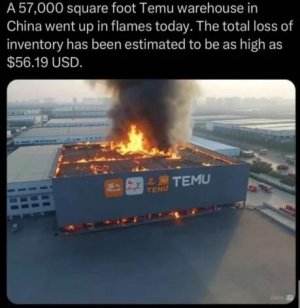 temu.jpg