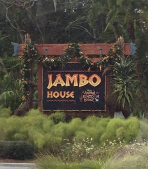 IMG_5947.jpeg
