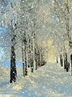 IMG_4816.gif