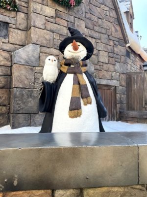 IMG_3696.jpg