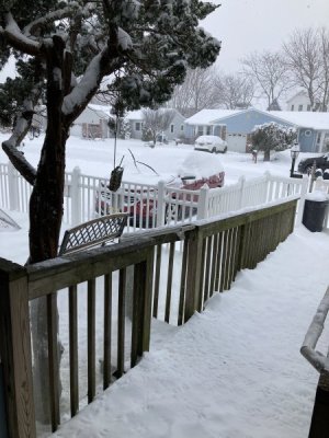 IMG_4153.jpeg