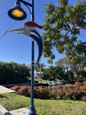 IMG_6931.jpeg