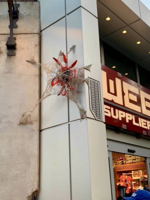 IMG_6307.jpeg