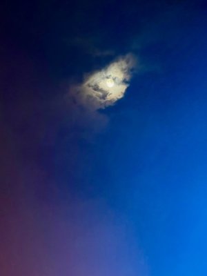 IMG_2255.jpeg