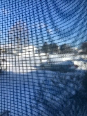 IMG_4155.jpeg