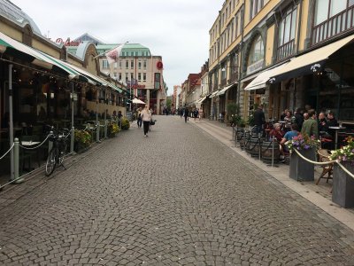 IMG_2355.jpeg