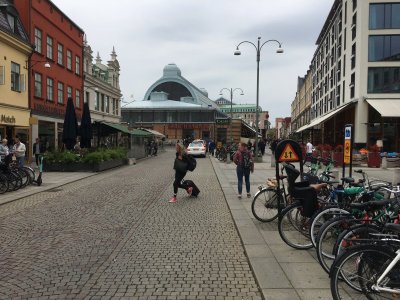 IMG_2354.jpeg