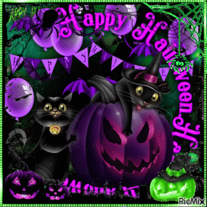 IMG_4823.gif