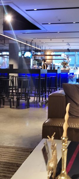 The Lively decor.jpg