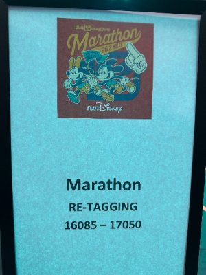 IMG_3442.jpeg