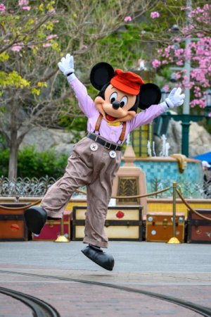 disneyland-bastura-1.jpg disneyland-bastura-1.jpg