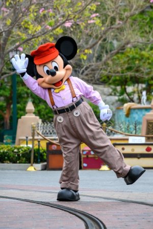 disneyland-bastura-2.jpg disneyland-bastura-2.jpg