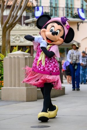 disneyland-bastura-3.jpg disneyland-bastura-3.jpg