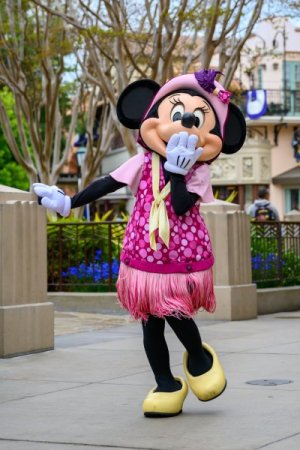 disneyland-bastura-4.jpg disneyland-bastura-4.jpg