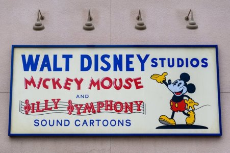 disneyland-bastura-18.jpg