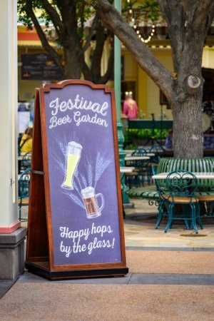 disneyland-bastura-32.jpg
