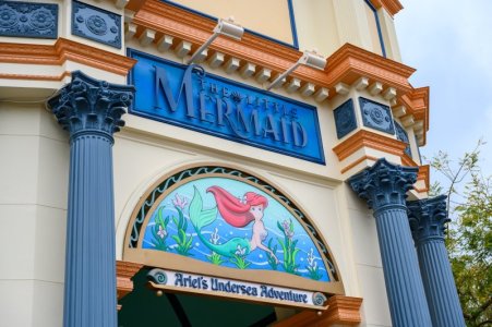 disneyland-bastura-35.jpg
