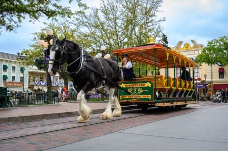 disneyland-bastura-43.jpg