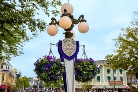 disneyland-bastura-45.jpg