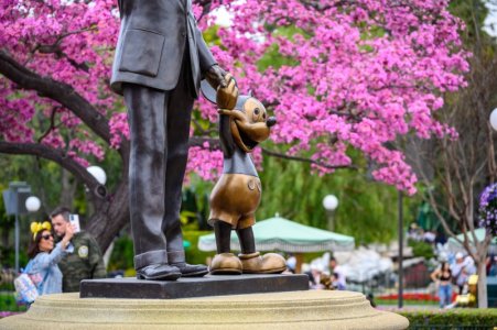 disneyland-bastura-49.jpg