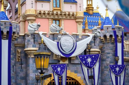 disneyland-bastura-50.jpg