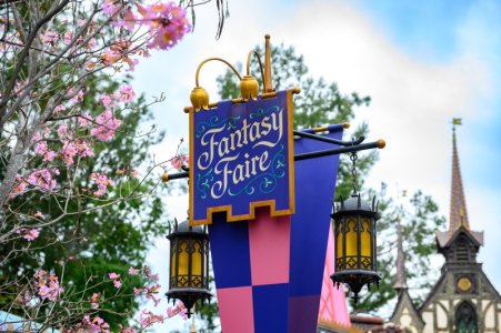 disneyland-bastura-51.jpg