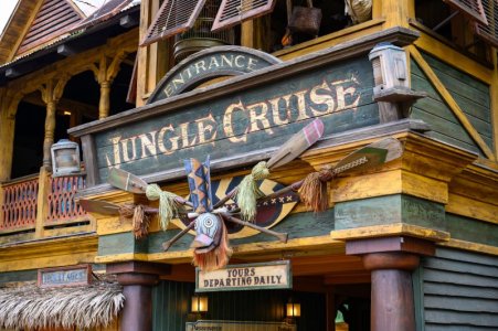 disneyland-bastura-61.jpg