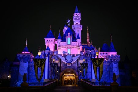 disneyland-bastura-78.jpg
