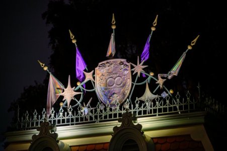 disneyland-bastura-82.jpg