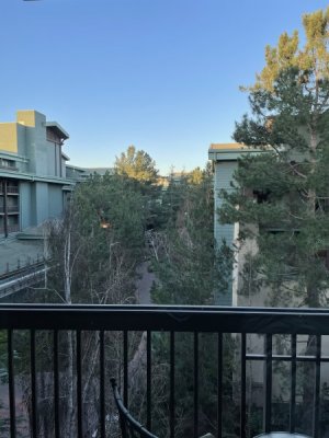 IMG_3167.jpeg