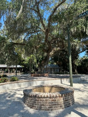 IMG_0640.jpeg