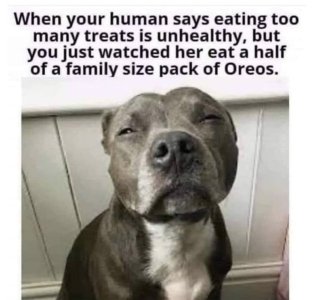 IMG_1146.jpeg