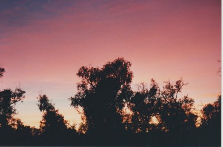 sunrise Scan_20250113 (8).jpg