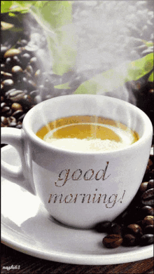 IMG_4638.gif