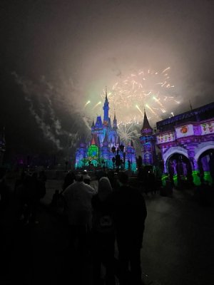 IMG_3381.jpeg
