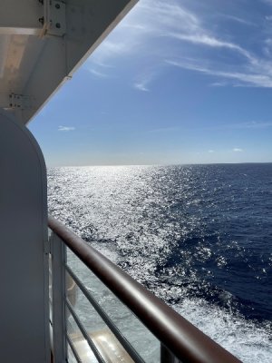 IMG_3866.jpeg